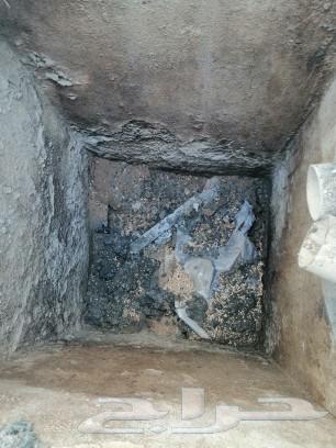 شركة تسليك مجاري تنظيف بيارات مكافحة حشرات بالرياض64210974328963113