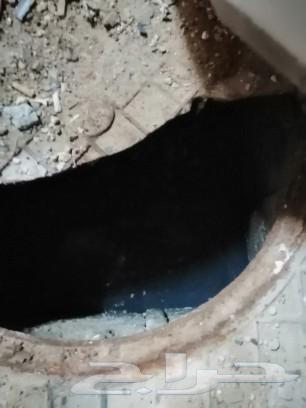 شركة تسليك مجاري تنظيف بيارات مكافحة حشرات بالرياض64210974328963114