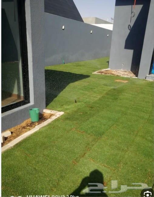 أبو محمد الصعيدي التنسيق الحدائق والزراعة64210553680130111