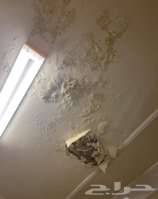 Water Leak Detection in Jeddah, Tank Insulation, Roof Insulation64239593747075111