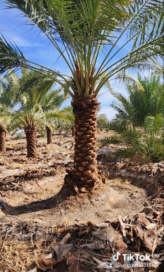 All of Angel's work includes Washington rebar installation and anchoring64210549774465113