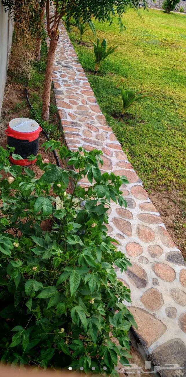 معلم حجر جدارات بوكلين ربراب قوايم64211395503361112