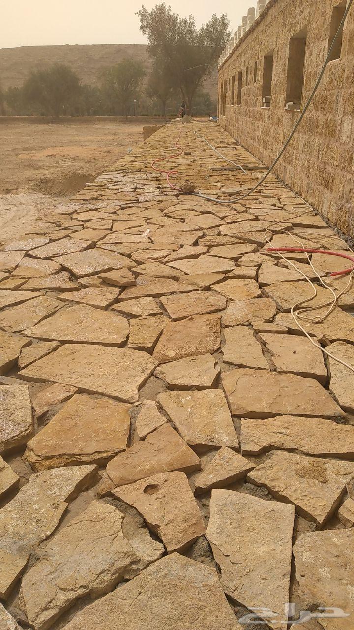 مقاول شبوك ونخيل64211818712194112