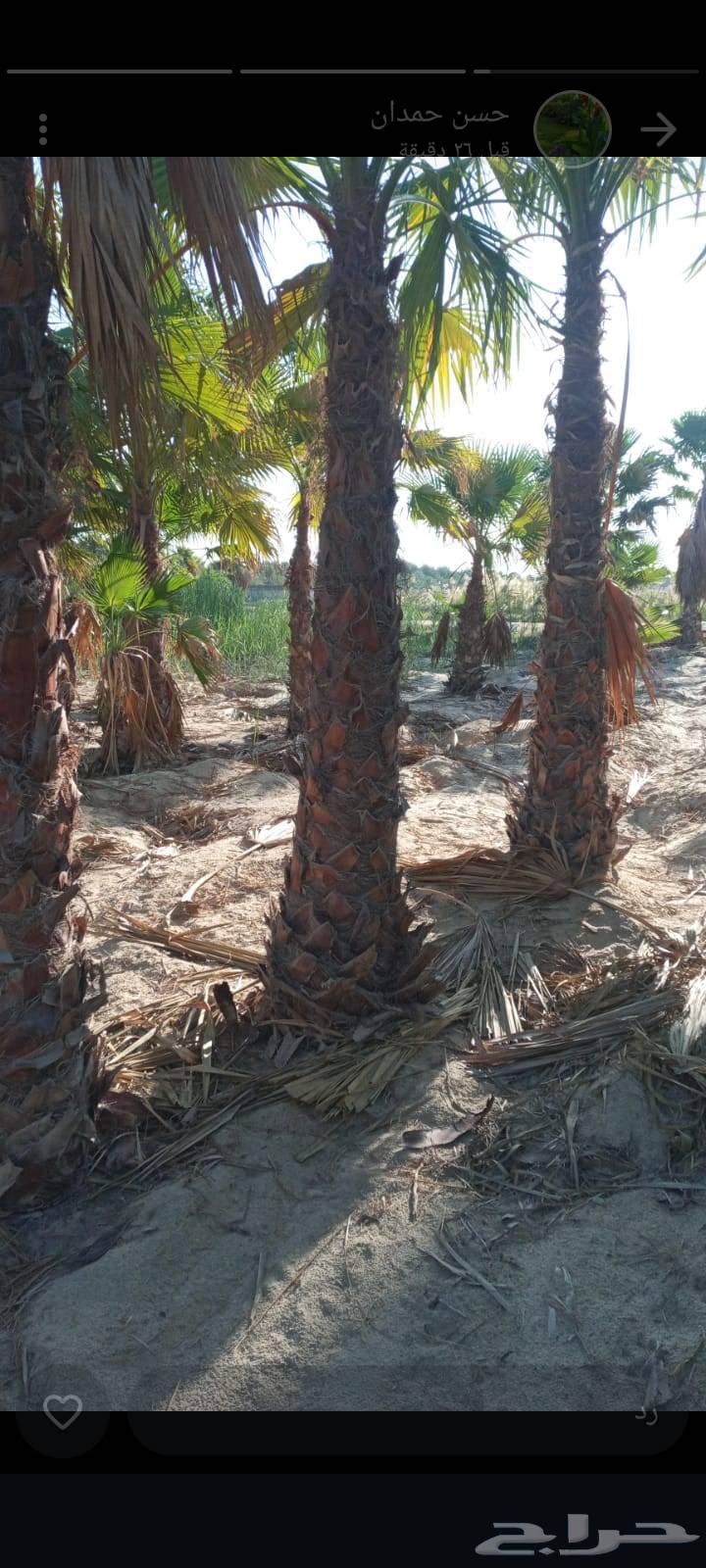 جميع انواع الزراعة64210551044993110