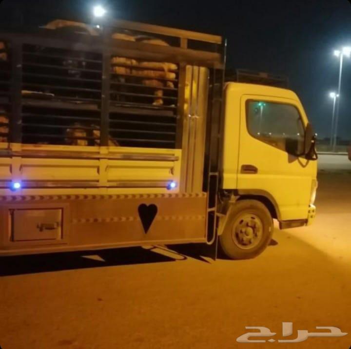 دنا توصل مواشي طابق مقسم64209898587523114