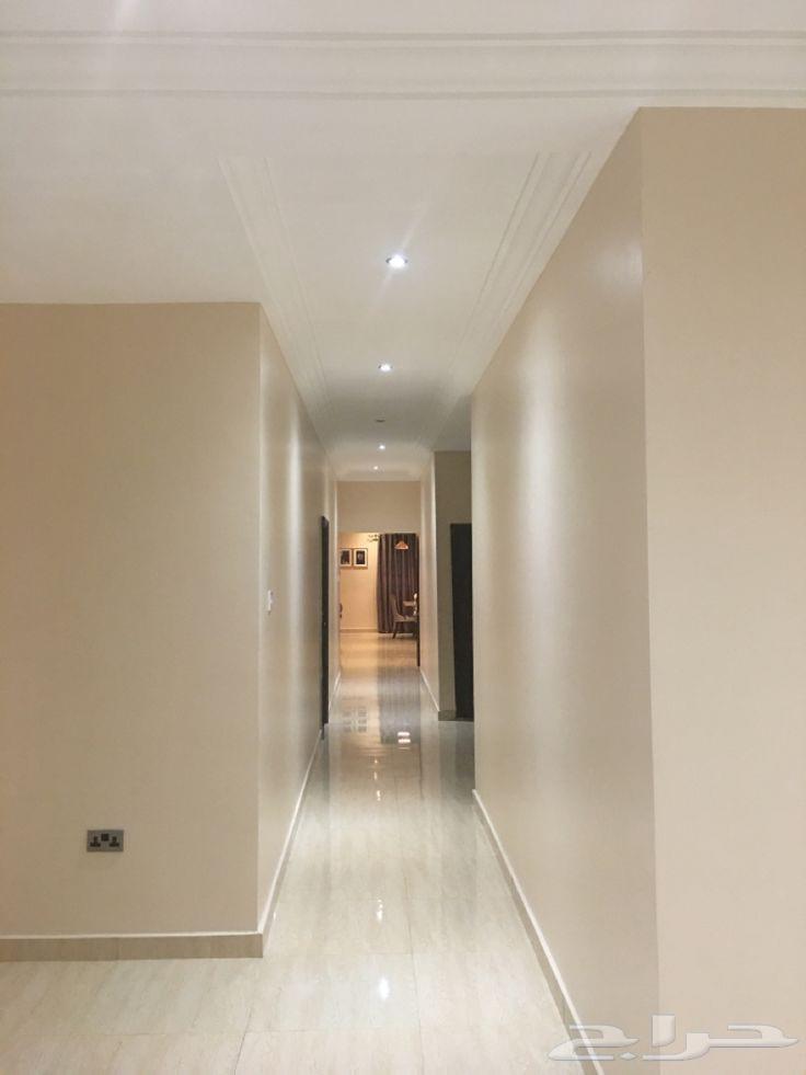 دهانات معلم حايل64210092609539112