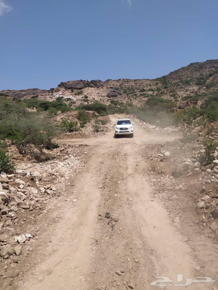 كهربائي سيارات ومعدات ثقيله وخفيفه تنظيف مكاين اصلاح ظفائر ا64213282180993114