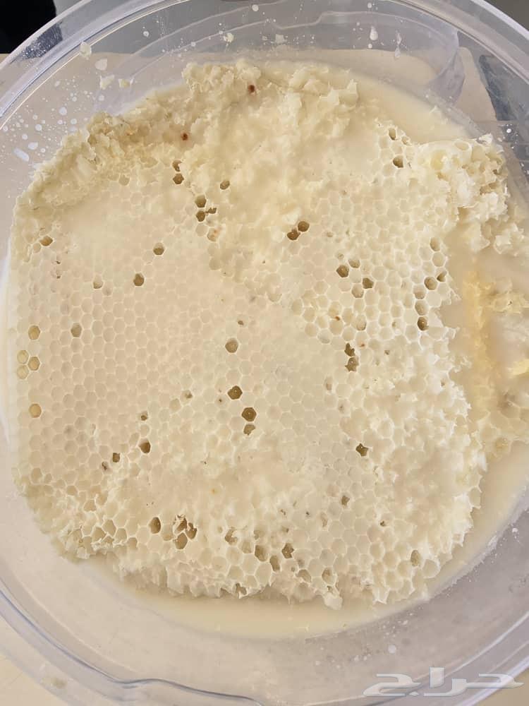 Royal Sidr Honey No. 1 400 SAR per kilo Sourab First Grade Honey 80064211171639170110