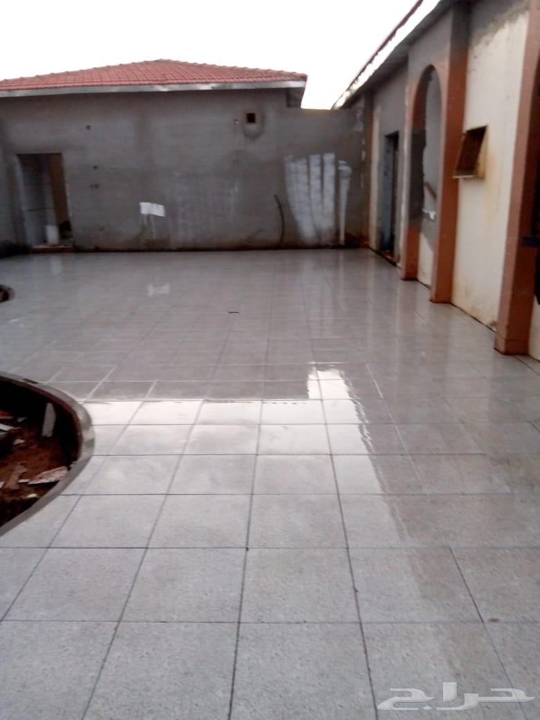 بلاط سيراميك64239593706113113