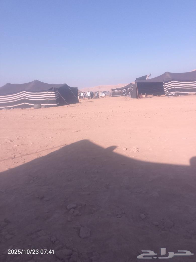 بناء وتركيب جميع انواع الخيام وبيوت الشعر والمظلات64210095420931112