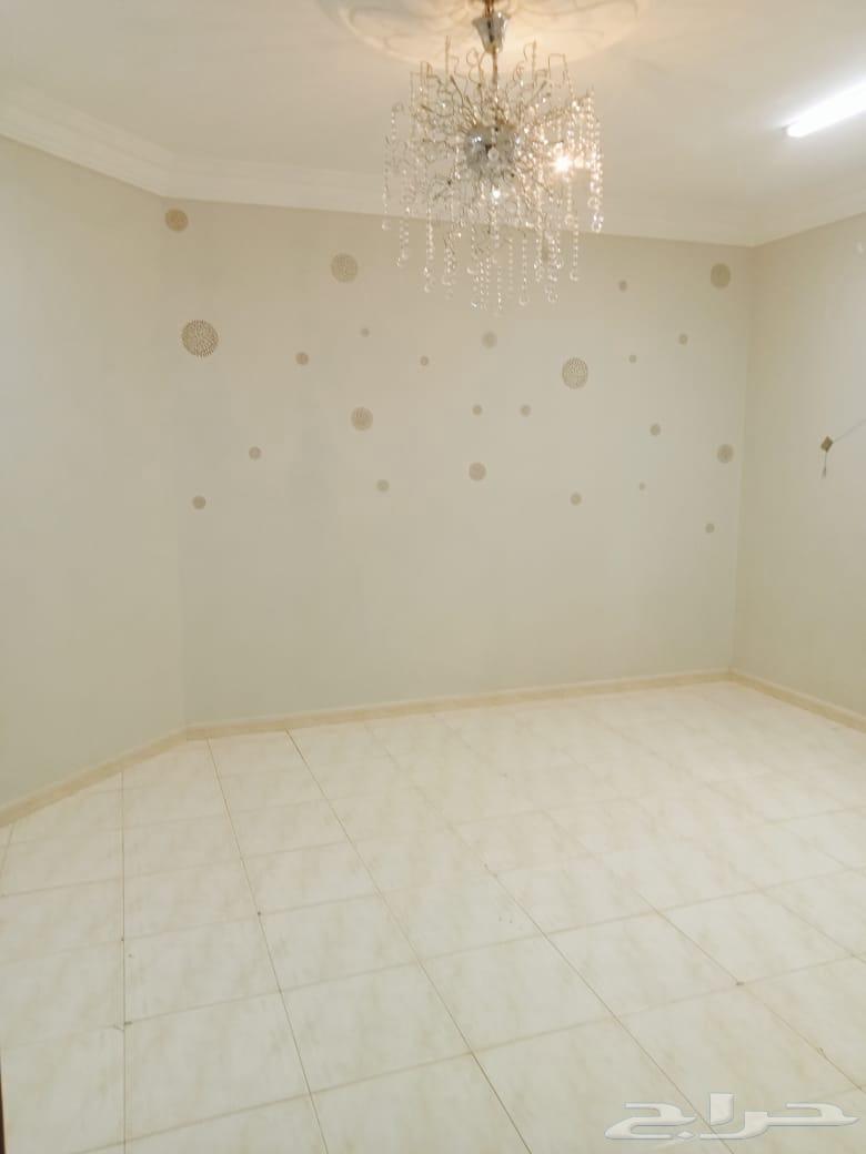 شقة للايجار السنوي ( دفعة او دفعتين )64197153176705112