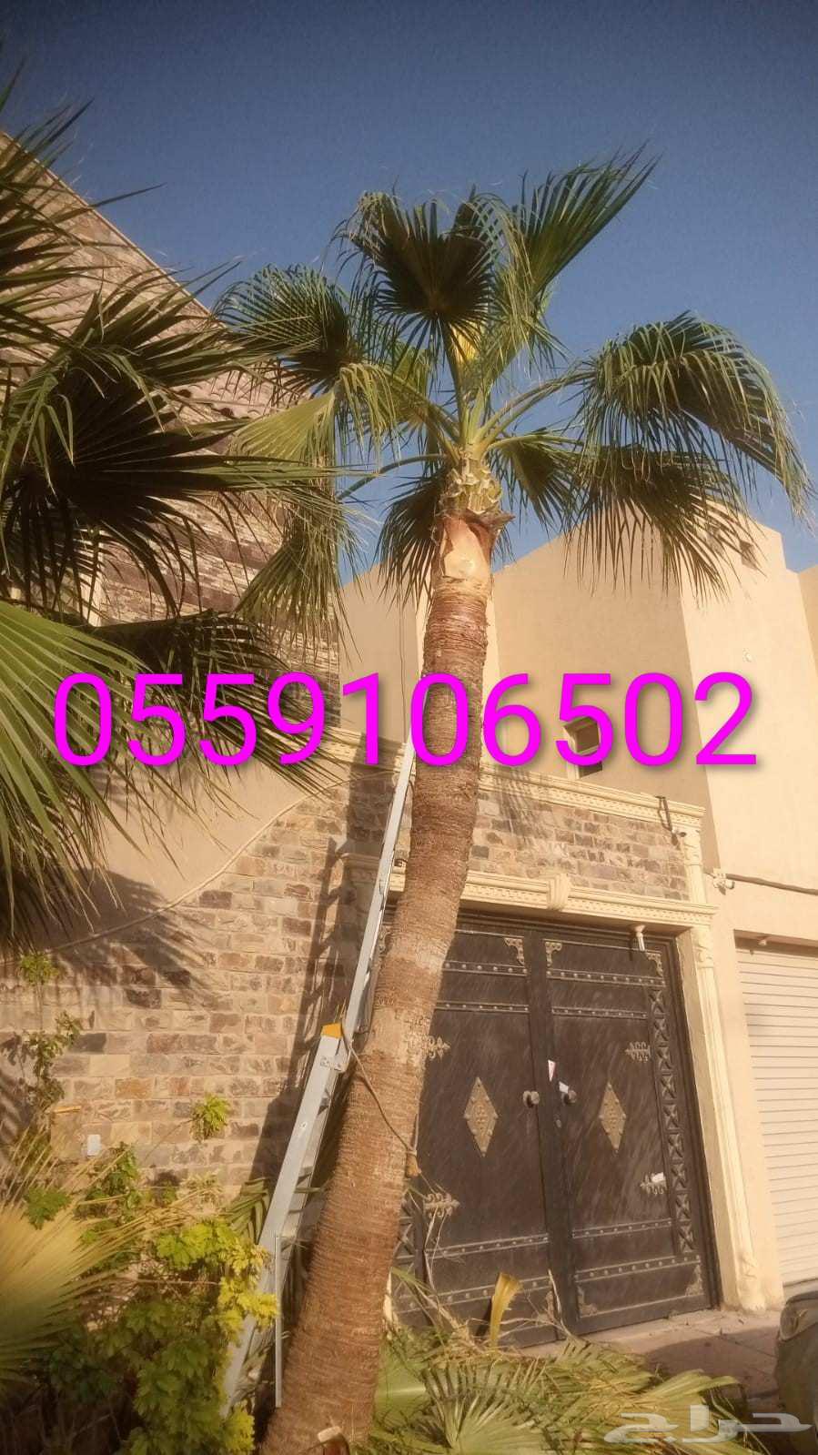 تكريب وشنتن تكريب.64210553703939112