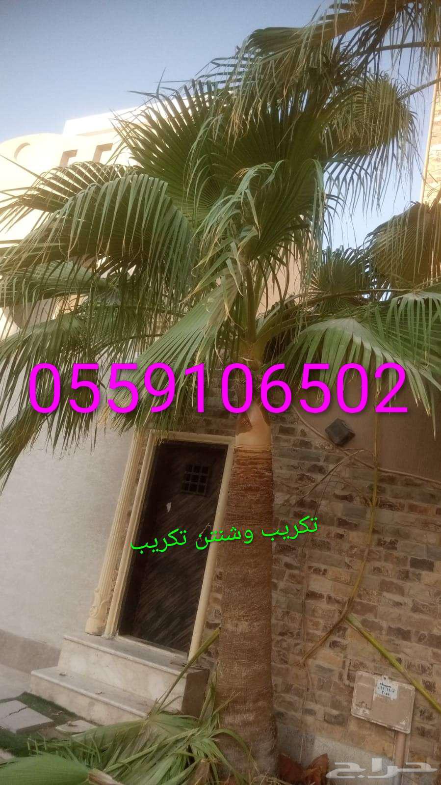 تكريب وشنتن تكريب.64210553703939111