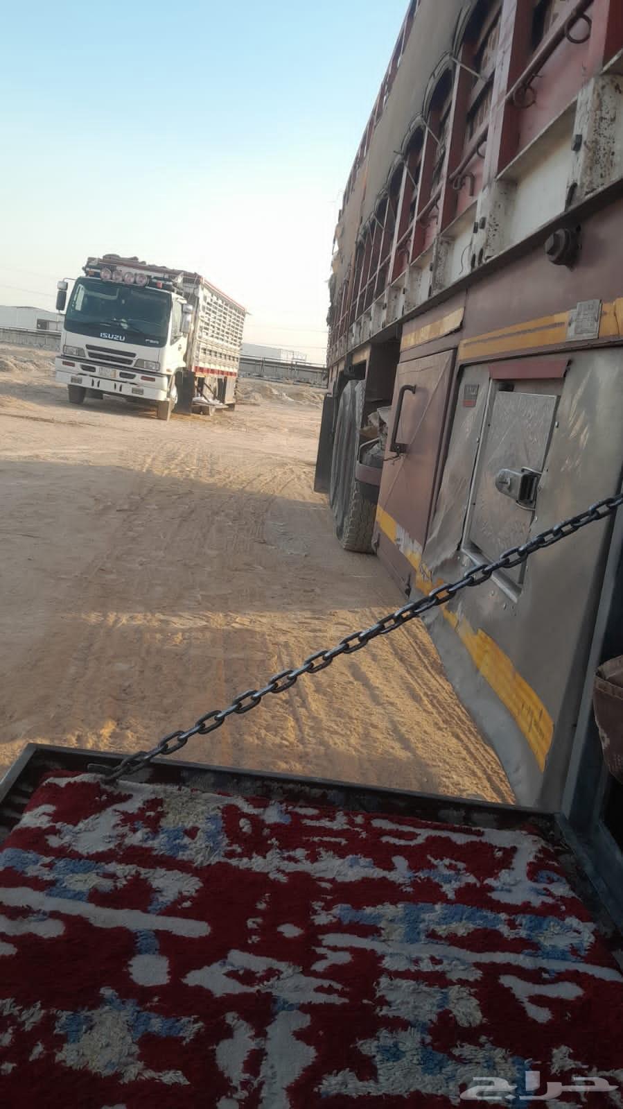 Lori Massks64211588442627110