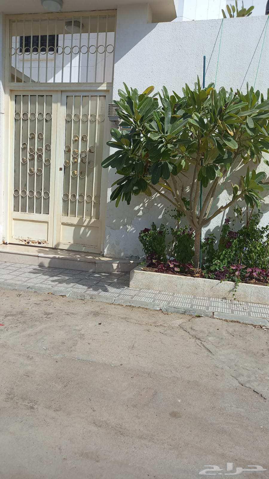 General contractor for construction, additions, renovations, demolition, cutting doors, gypsum, MDF, and corrugated sheets64211172225026114