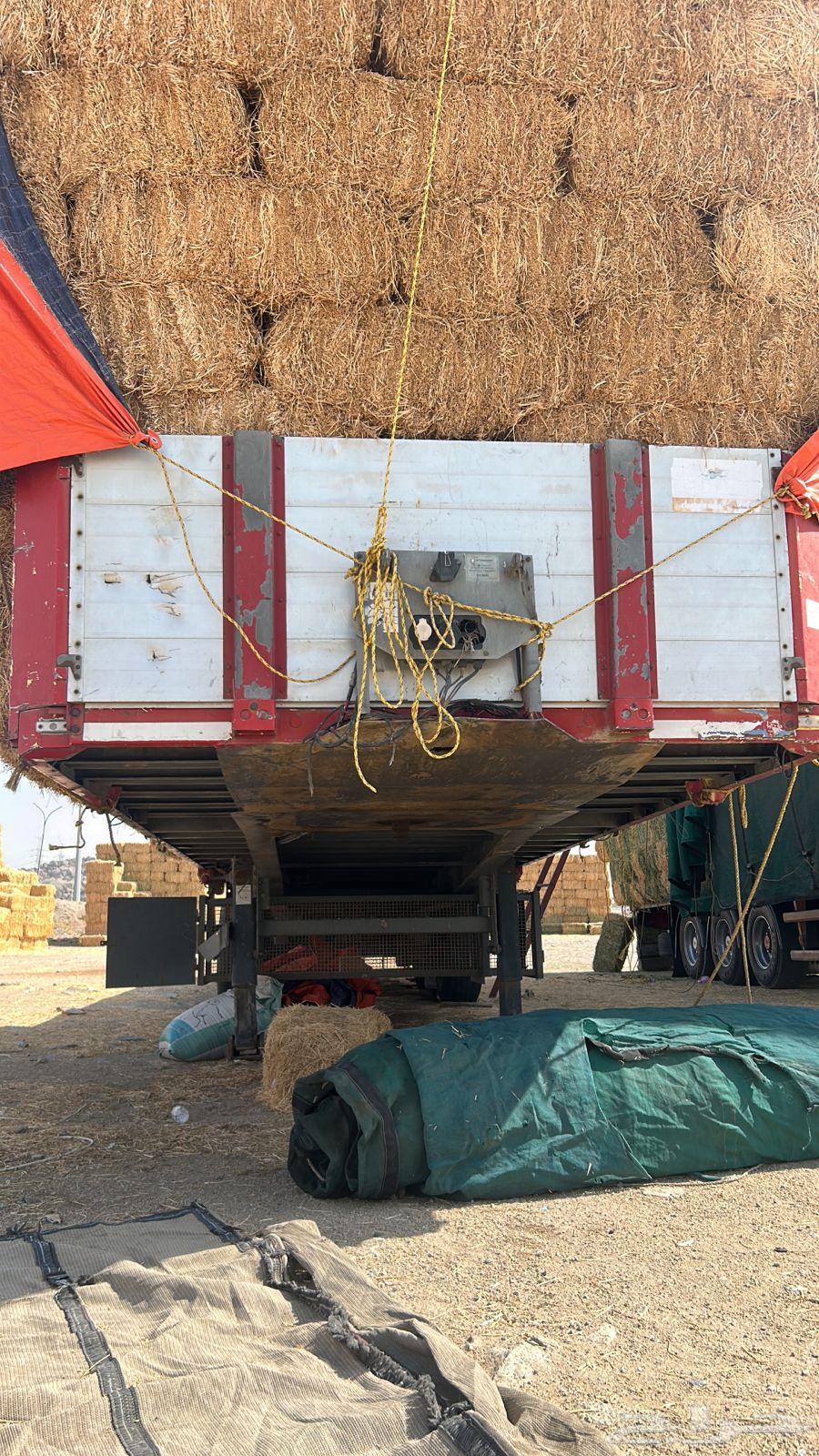 Three-axis European platform with conditional welding and fractures64210749152515110