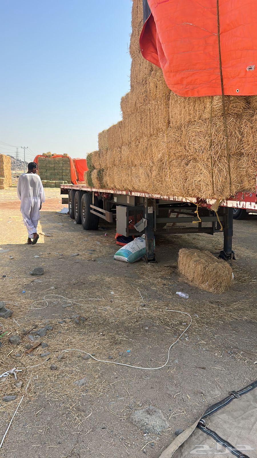 Three-axis European platform with conditional welding and fractures64210749152515113