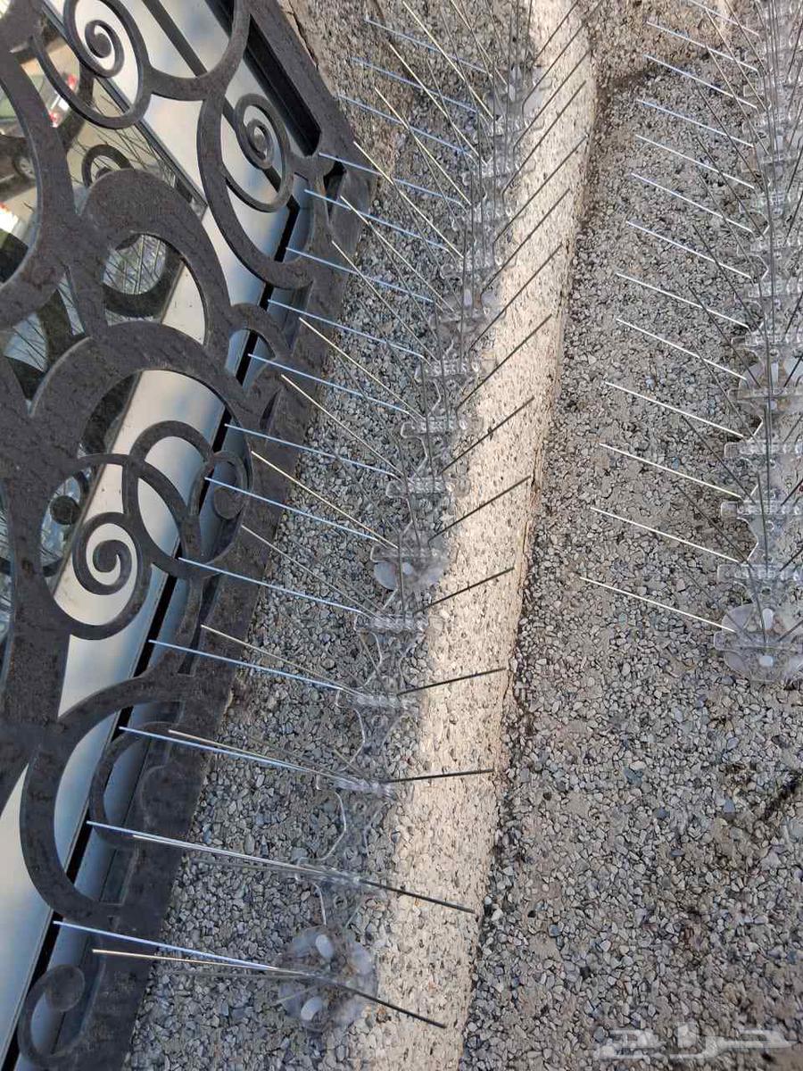 طارد حمام المدين64210549189891113