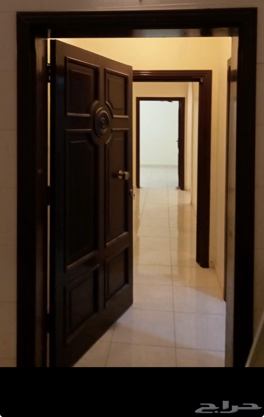 شقة للإيجار