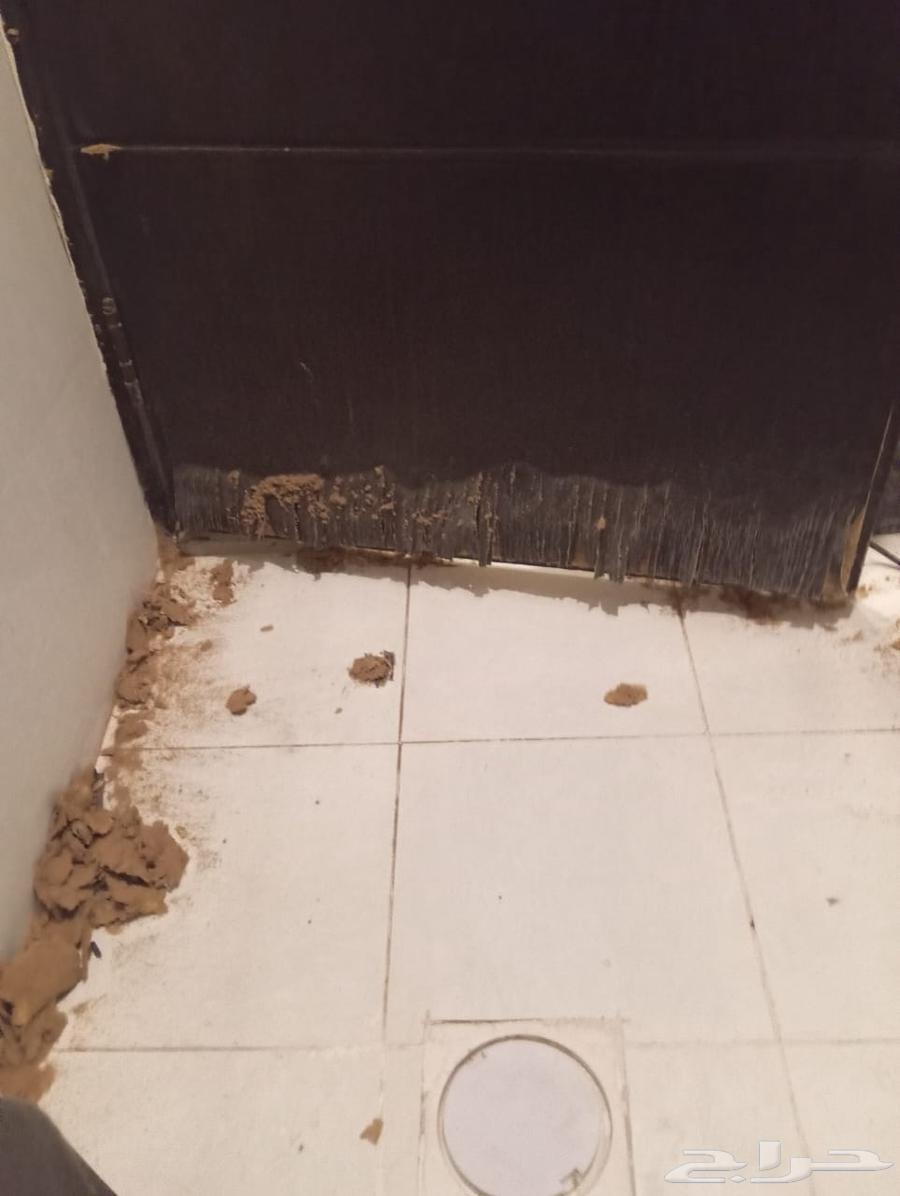 فني إستيل وصيانه وترميم الأبواب الحديد والألوميتال64210094452739111