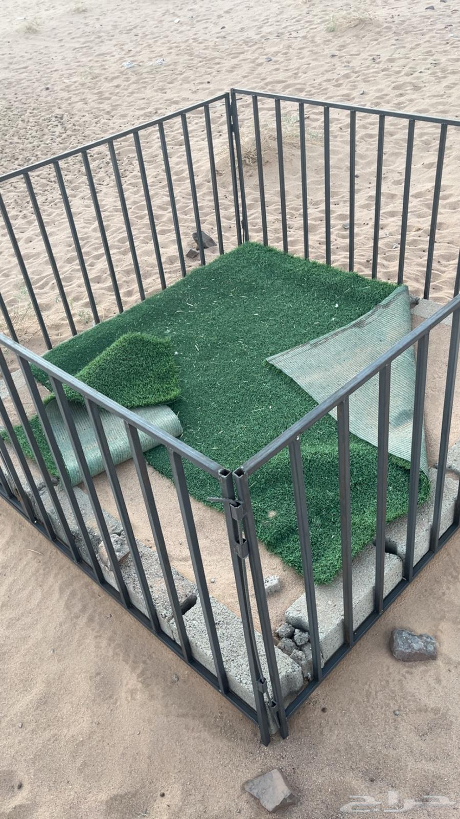 Show Network64213062624259110