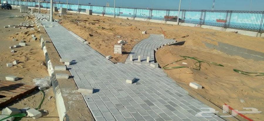 بلاط اسمنتى وبلدورات64212865819011114