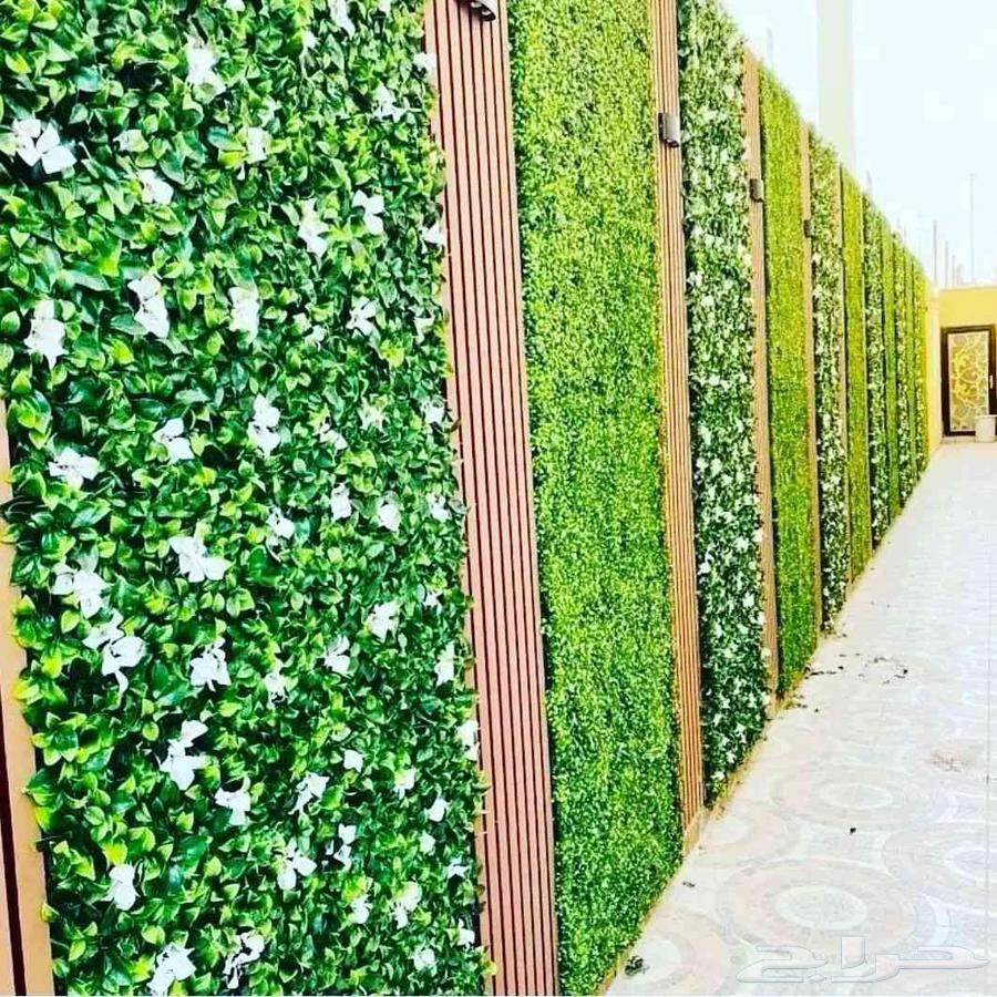 Landscape coordination and opinion network64214117788675111