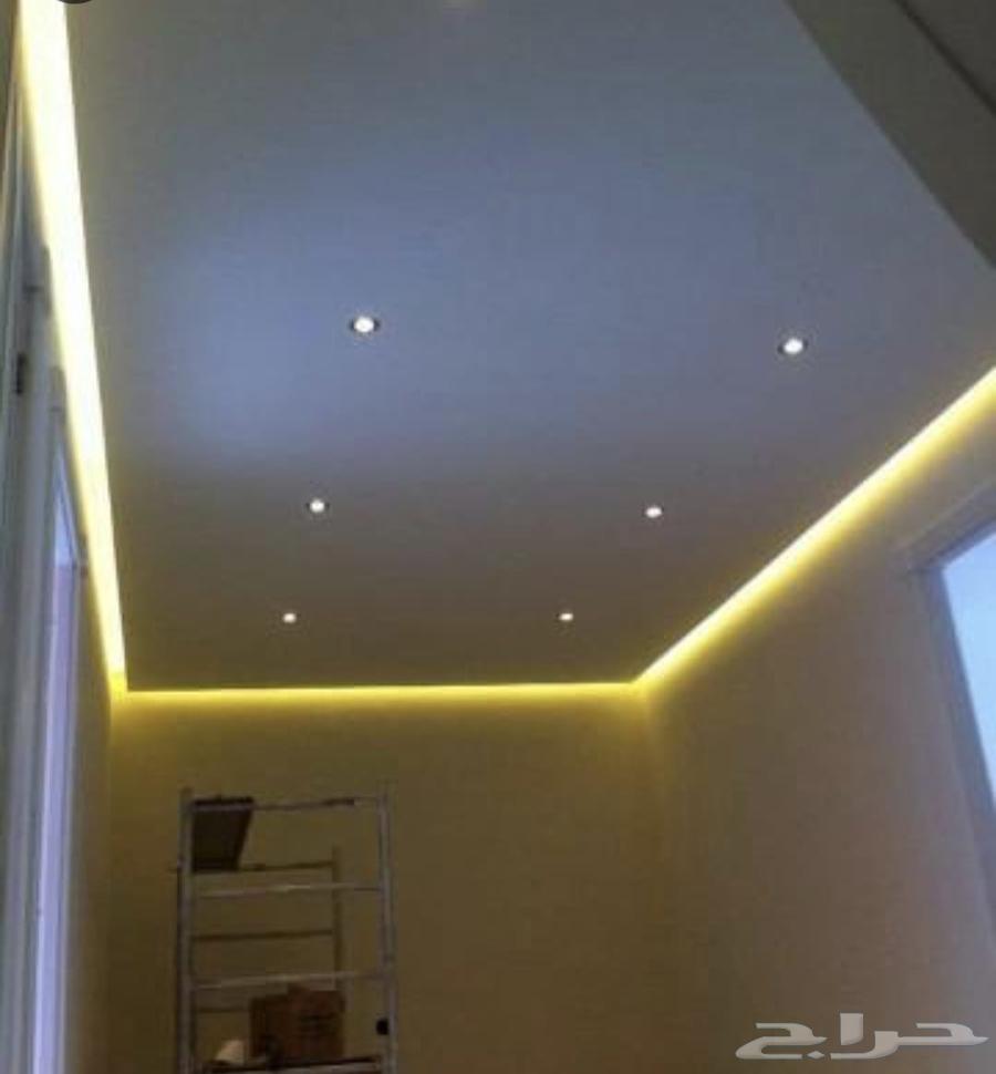 Gypsum decorations, gypsum board, cement board, false ceiling, alternative to roxam64213478667267110