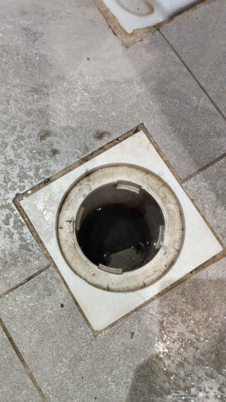 شركه تسليك مجاري تنظيف بيارت مكافحه حشرات بالرياض64213282423042113