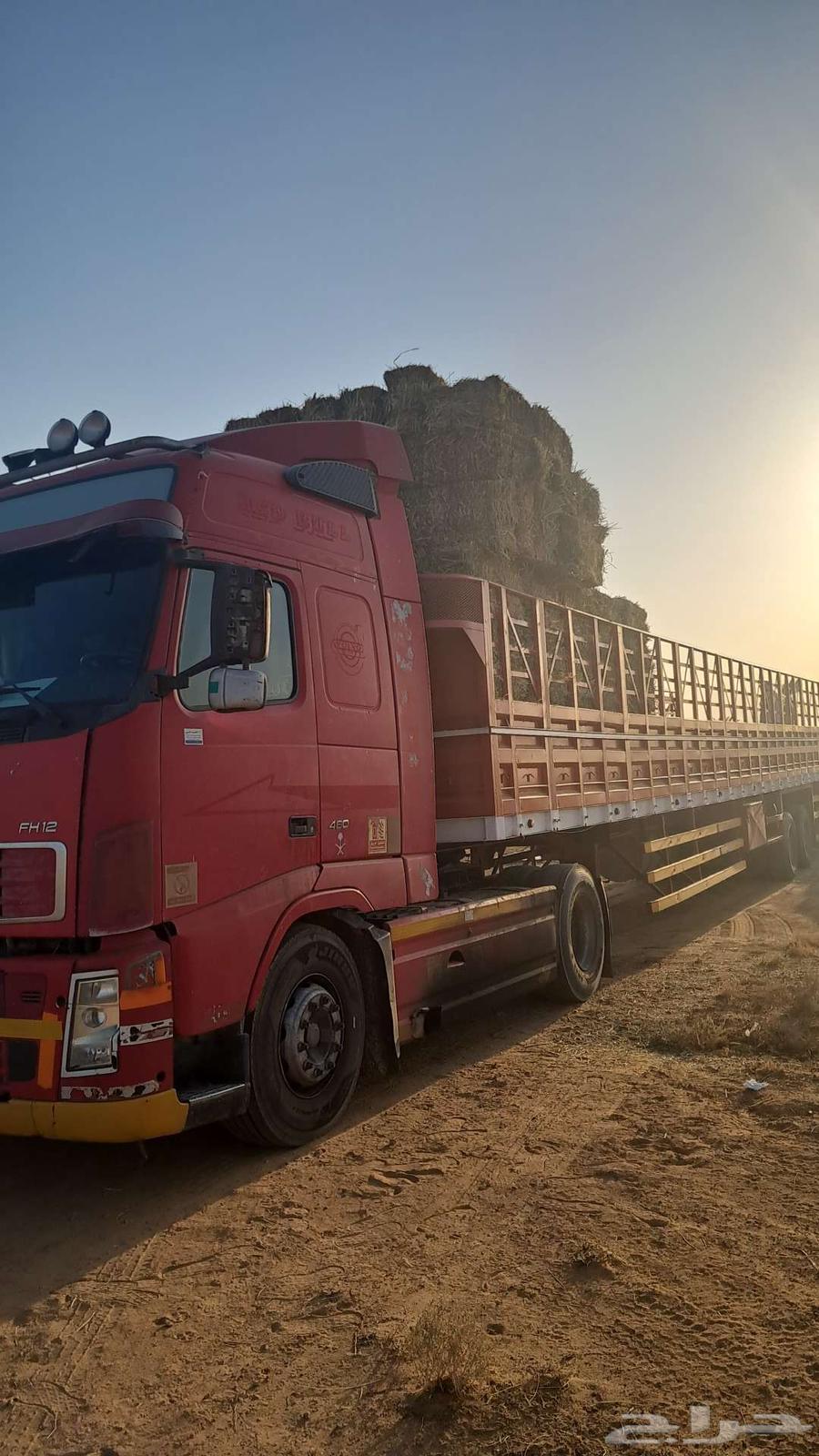 جوانب عالي64212866396419112