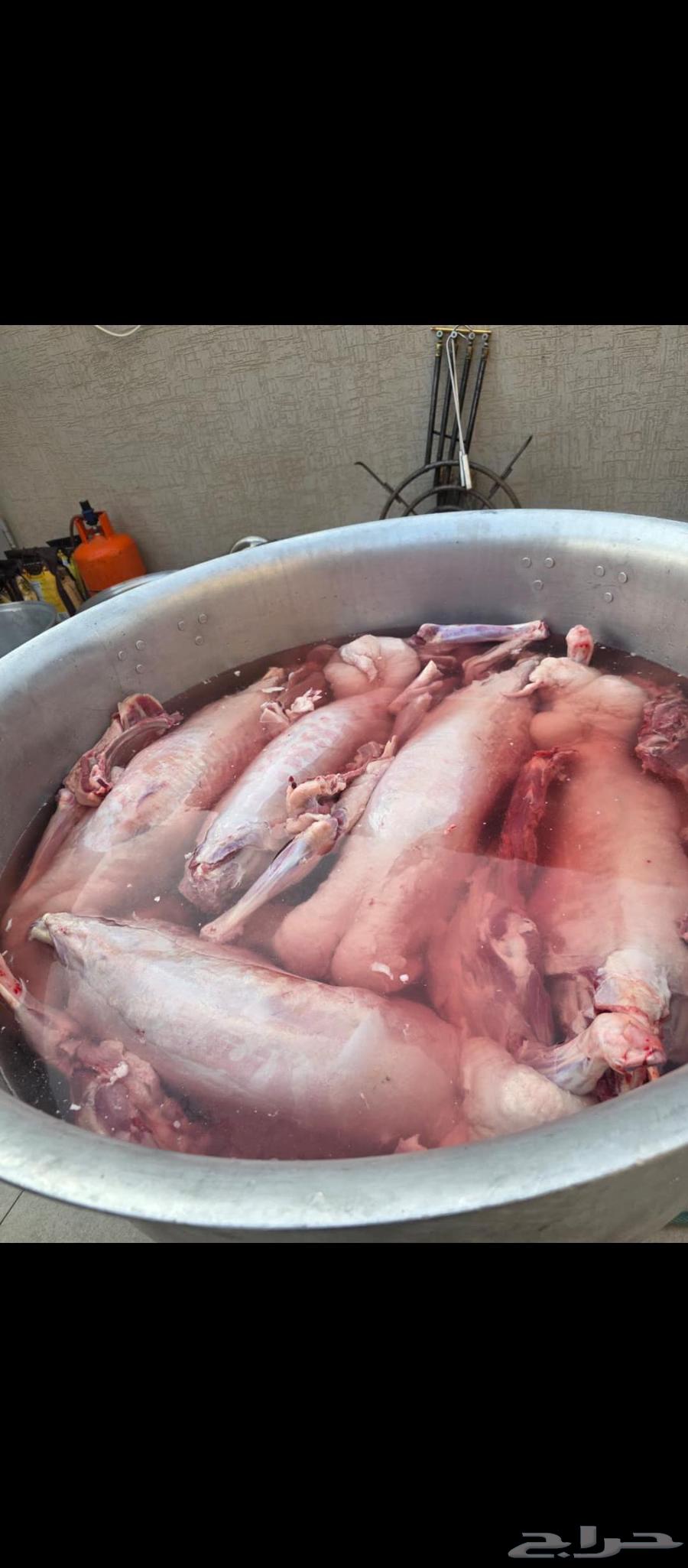 طباخ متنقل للحفلات والمناسبات باالرياض وضواحيها الشيف طباخ64213481258497114