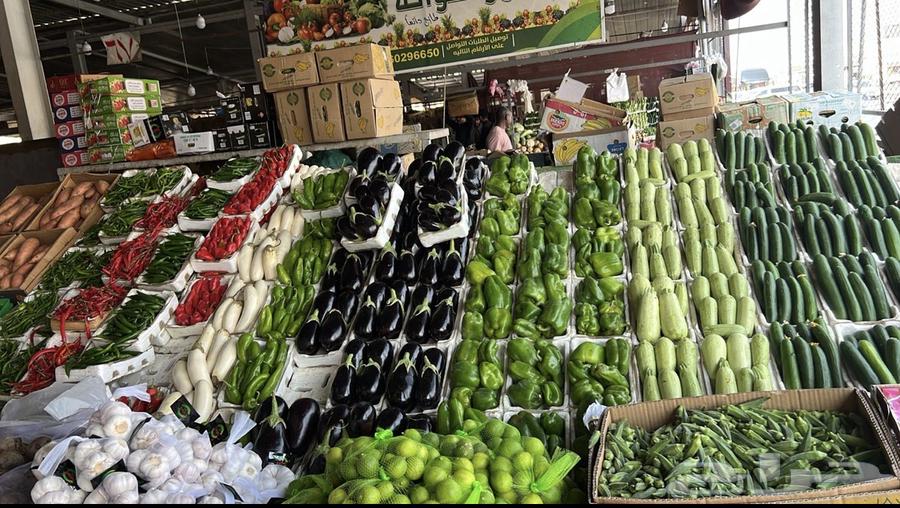 توصيل لين باب بيتك وب اقل الاسعار من سوق الحلقه64213478832002111