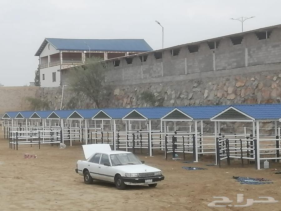 قر ميد بيت مشاب نار تلبيس قر ميد  وري دارجا آلو64213698596225110