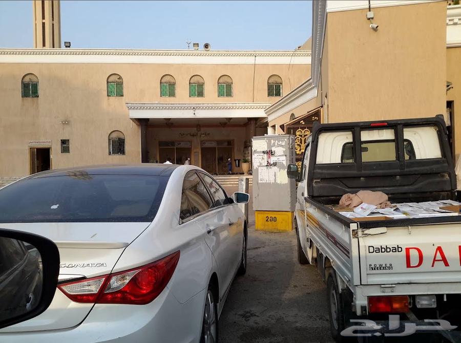 ابحث عن شقة للايجار غرفتين او مشترك64204340622594110