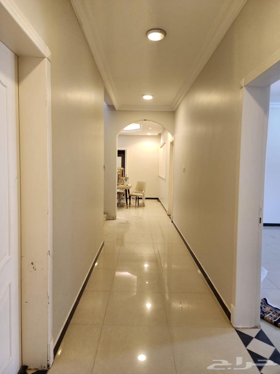 صباغ بويات الدمام64212034938883112