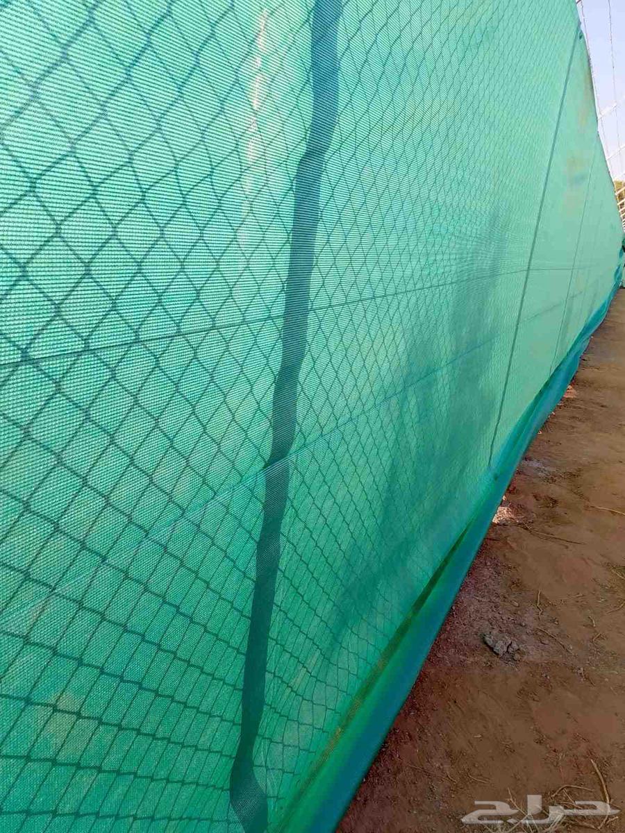 Galvanized mesh, anti-rust mesh, and all types of meshes64213915257986110