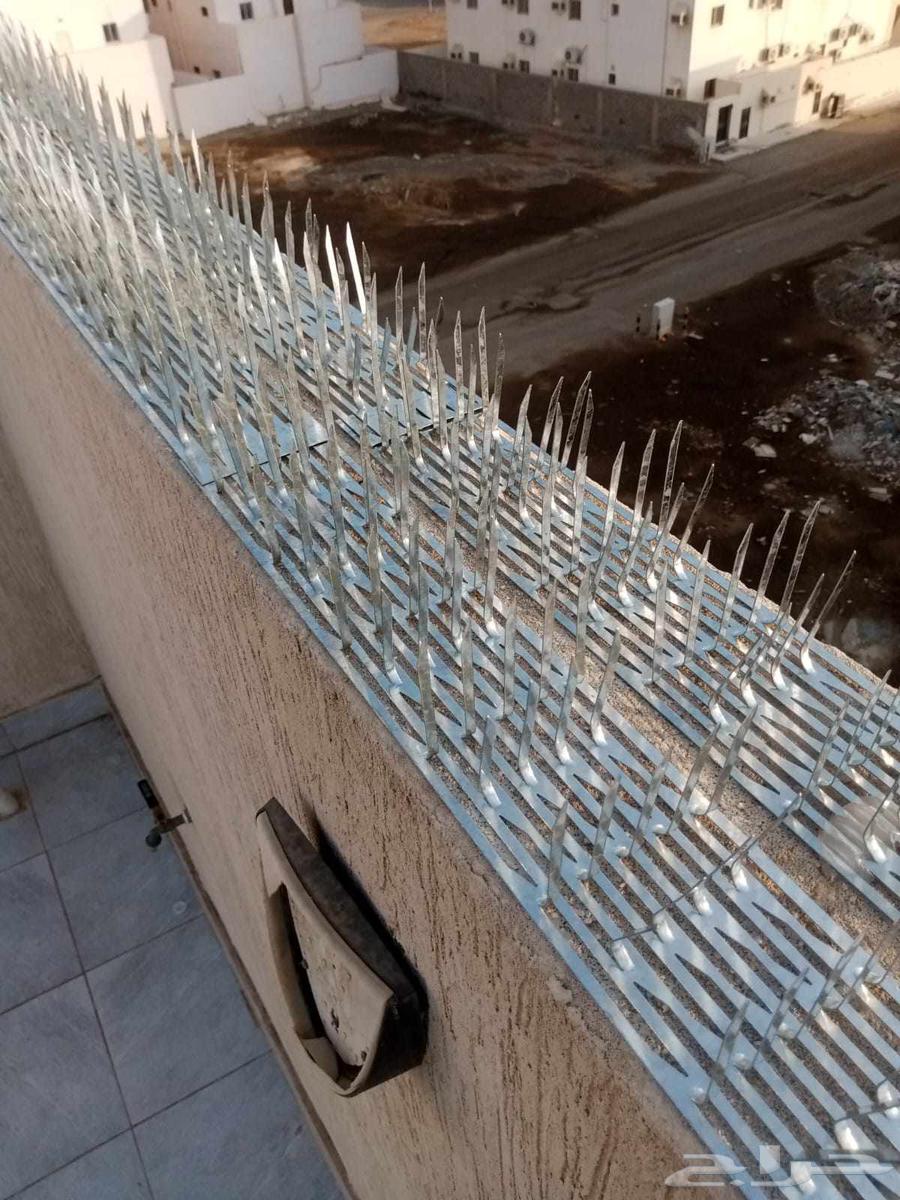 Installing pigeon and other bird cages64214117755521113