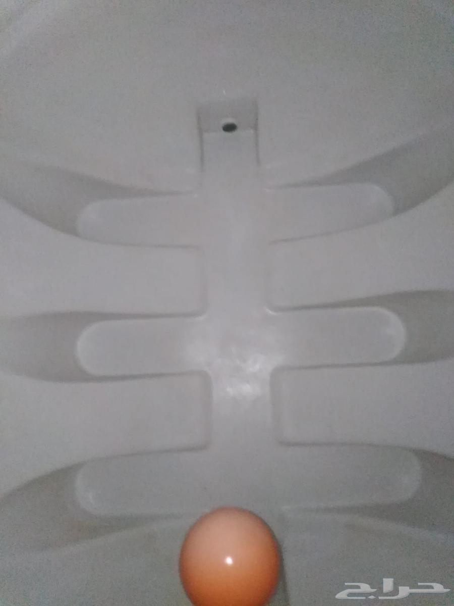 تسليك مجاري تسليك المطابخ والحمامات صفيات المطر تنظيف خزانات64213061132034113