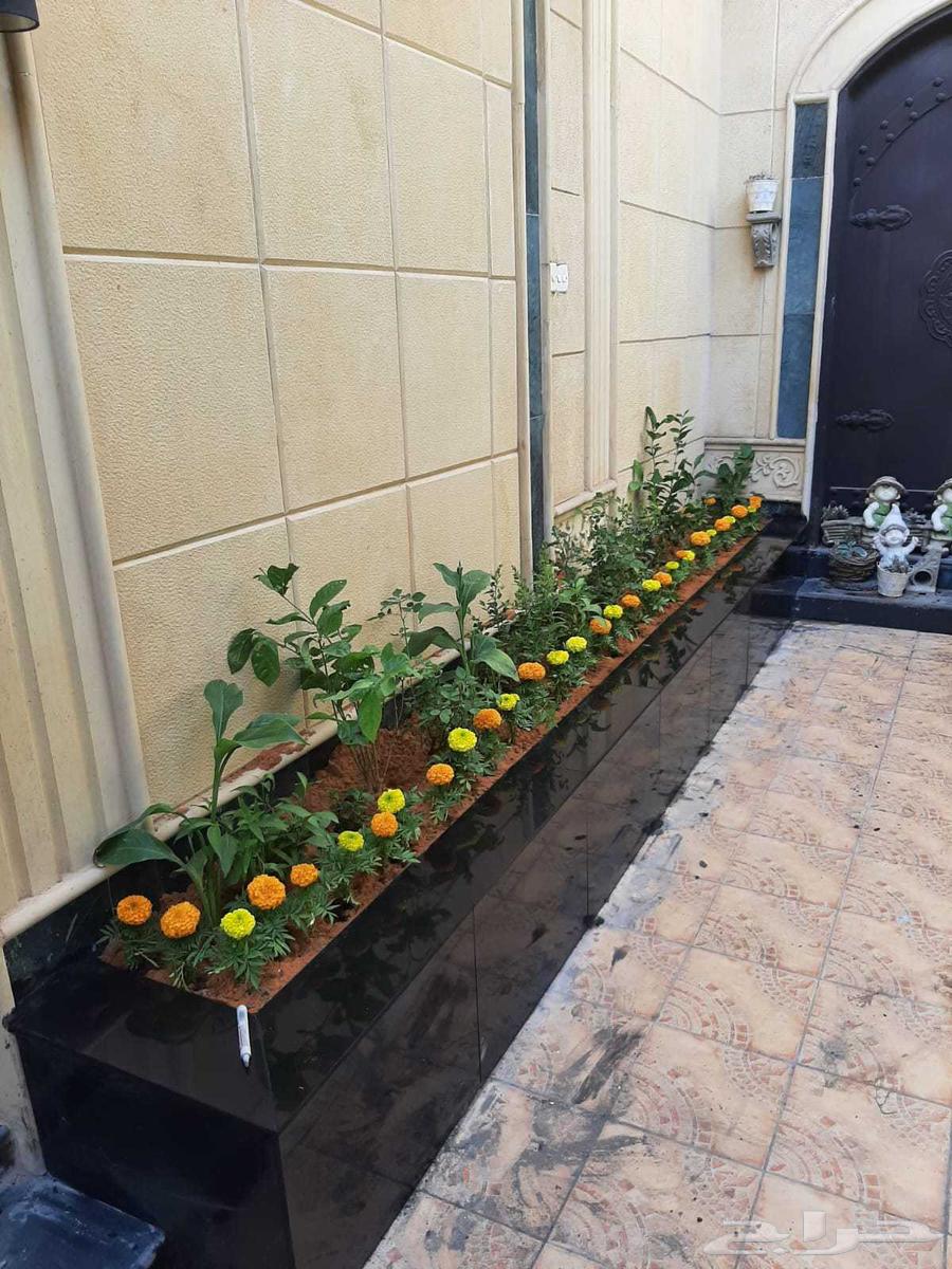 تنسيق حدائق المدينه المنوره واجوراها64216702222338114