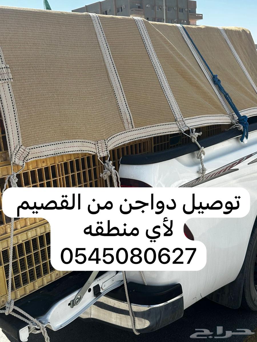 موصل توصيل حلال64213285247233111