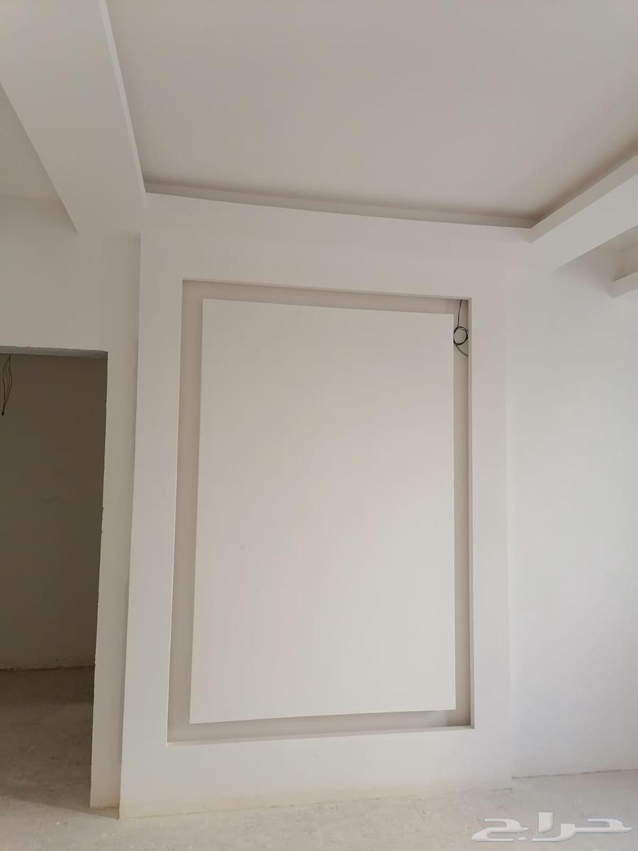 مقاول جبس64212864336770112