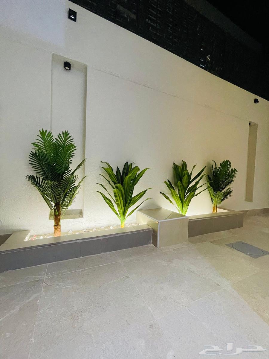 فلل روف عرض خاص للبيع تبوك حي الشفا تشطيب VIP64207482222595111