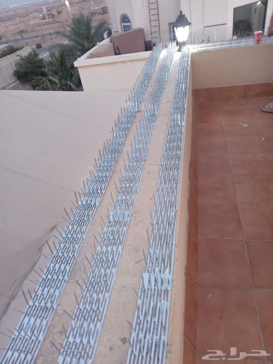 تركيب طارد حمام بجدة64213284198657112