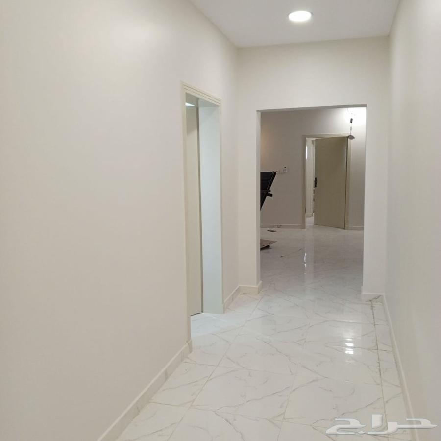 صباغ الاحساء64214115066241110