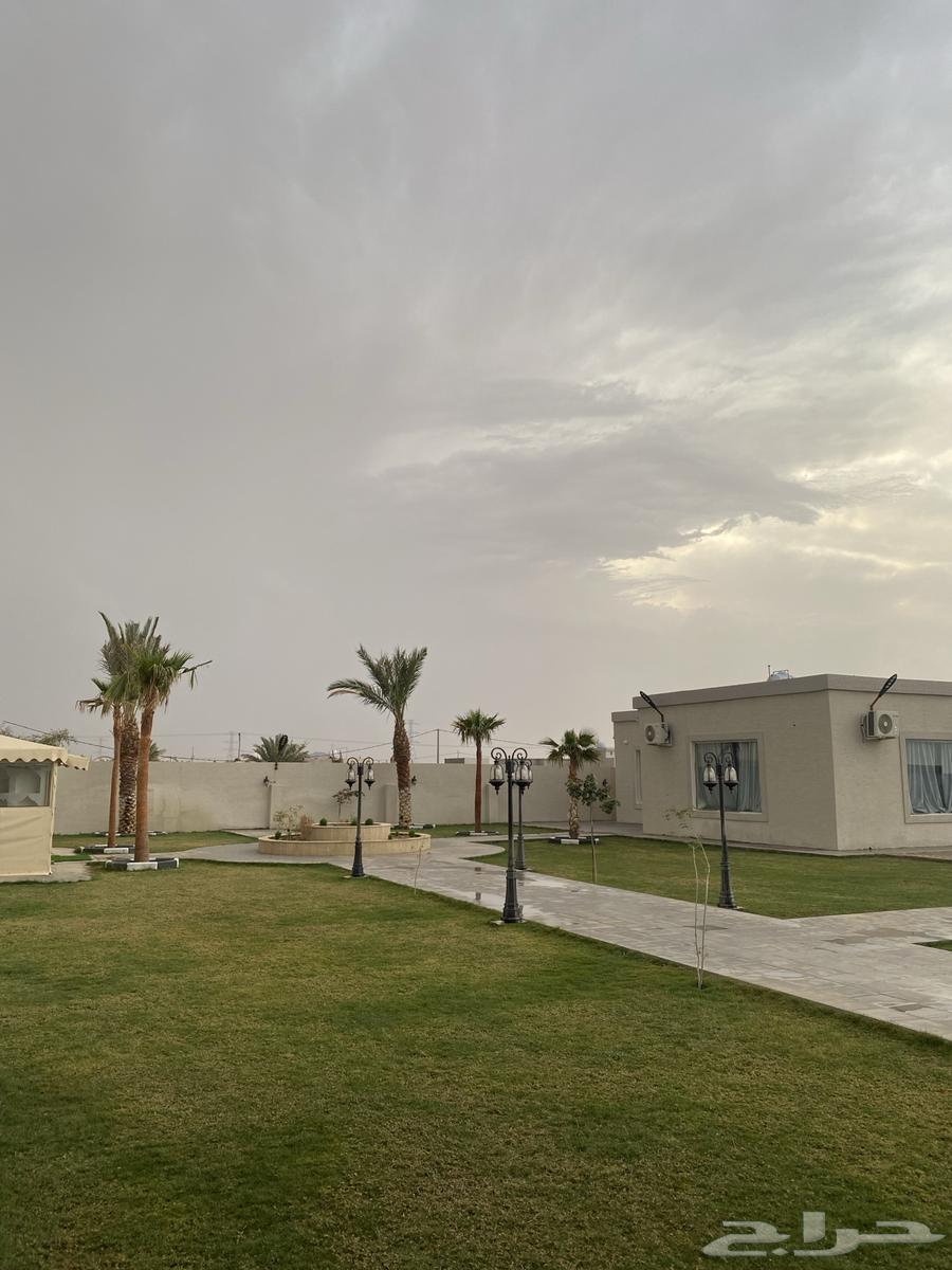 للبيع منتجع فاخر في محافظة عفيف64207254382337113