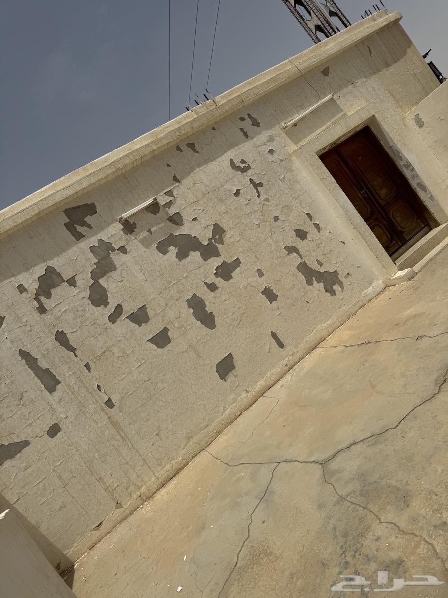 فيه مسجد في الثنيه المخرم محتاج بويه ولمبات فين اخل الخير64213060143107111