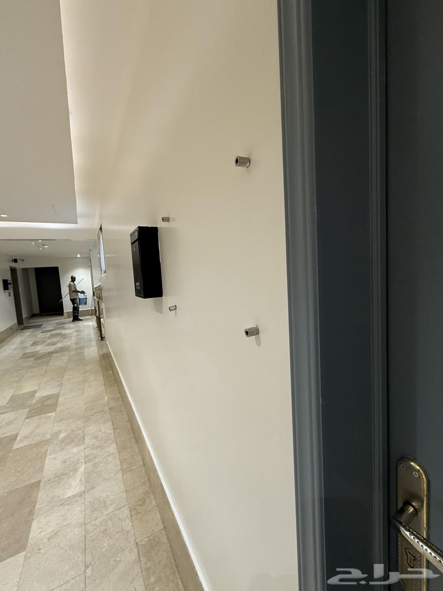 دهانات الجدران وديكور64212449168385111