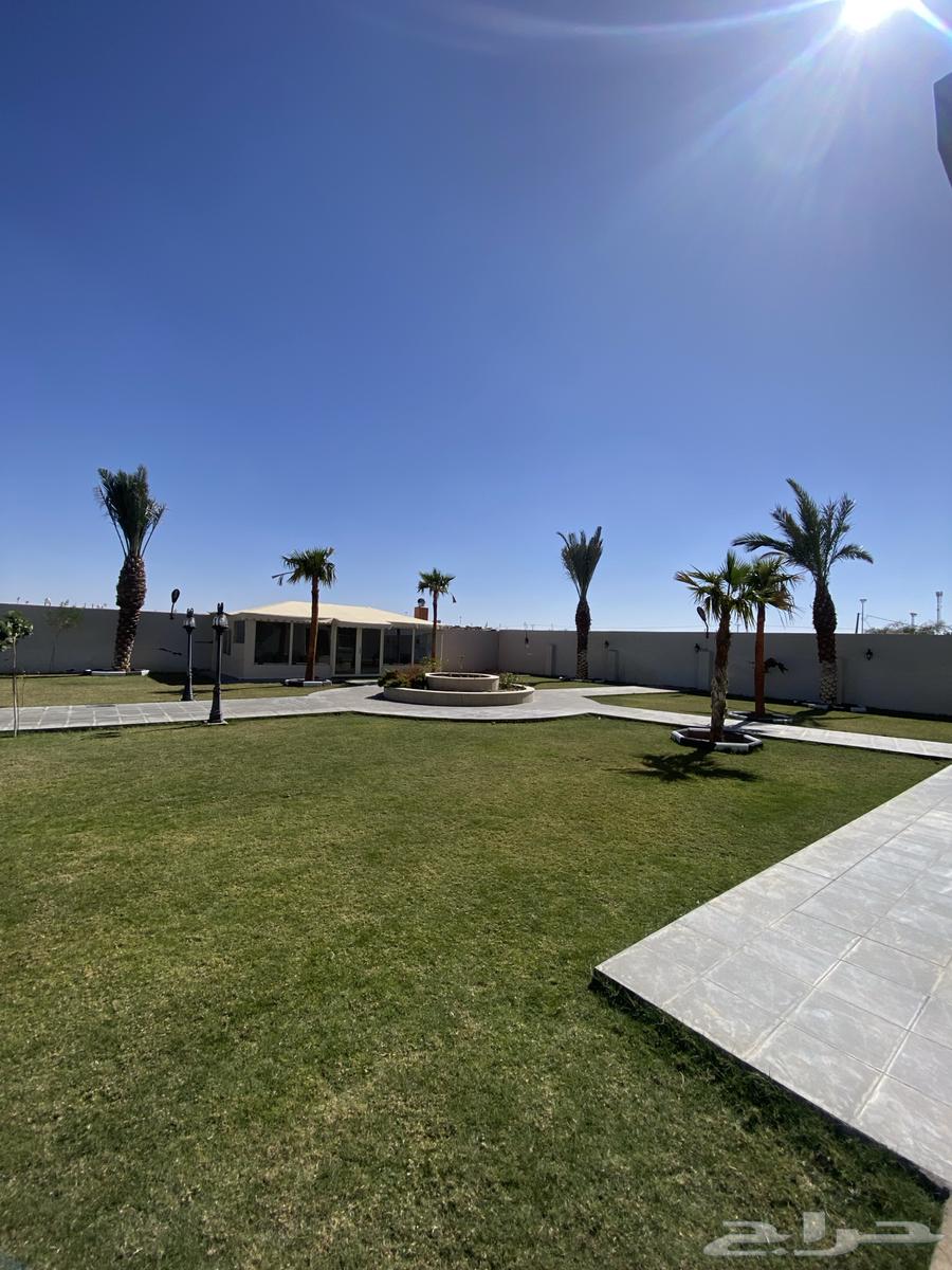 للبيع منتجع فاخر في محافظة عفيف64207254382337114