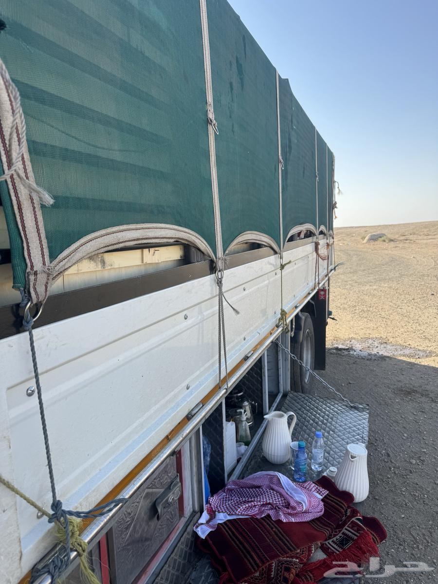 دينه نقل عفش والبضايع داخل وخارج تبوك64213914923778110