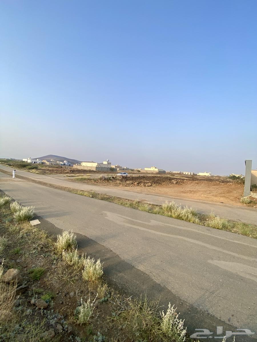 أنصاف أراضي مميزه الحريضه 75 الف - 80 ألف64216455418881112